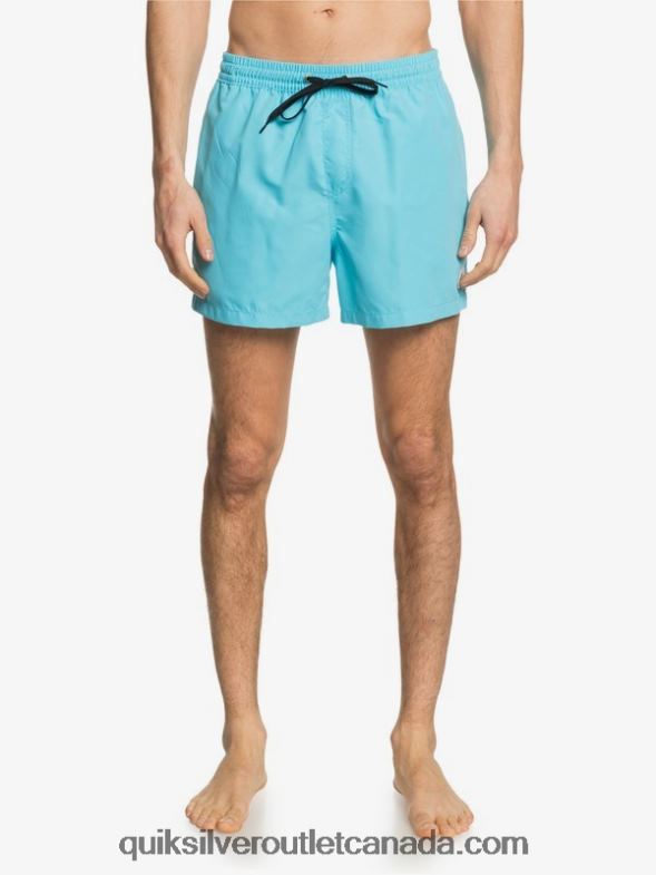 CA Quiksilver Men Everyday 15 Volleys pacific blue TX4R2466