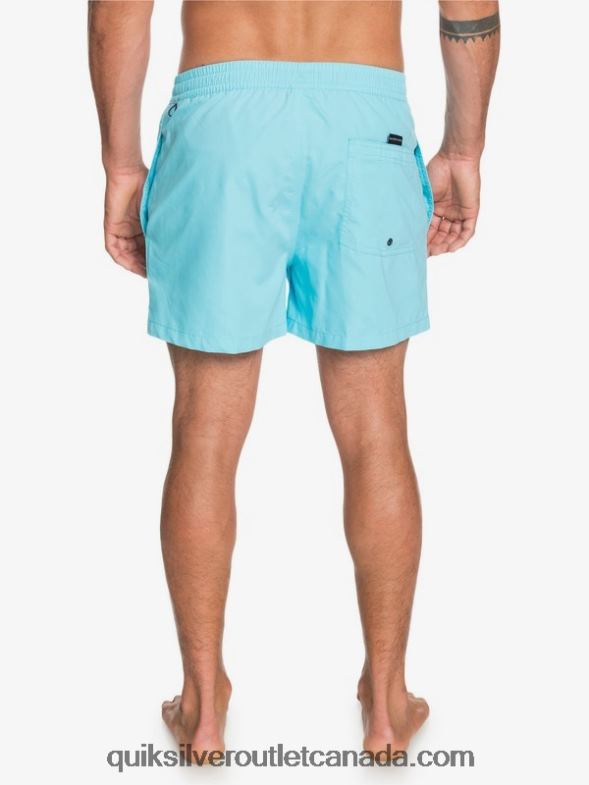 CA Quiksilver Men Everyday 15 Volleys pacific blue TX4R2466