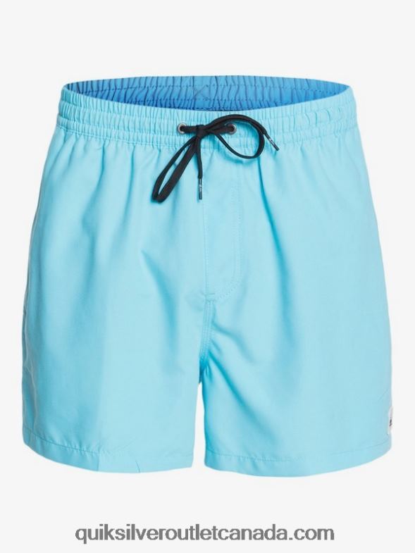 CA Quiksilver Men Everyday 15 Volleys pacific blue TX4R2466