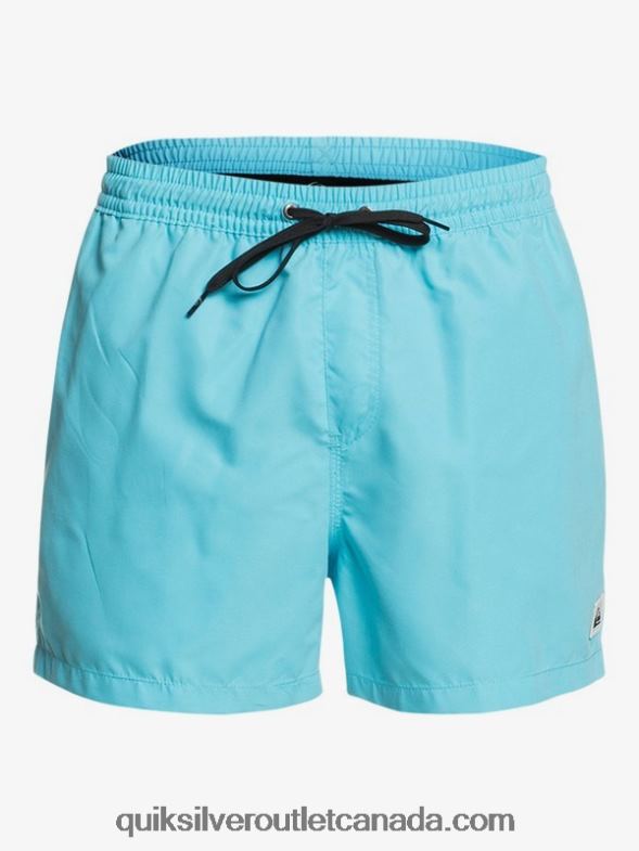 CA Quiksilver Men Everyday 15 Volleys pacific blue TX4R2466