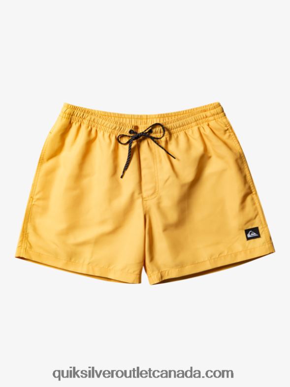 CA Quiksilver Men Everyday 15 Volleys yolk yellow TX4R2462