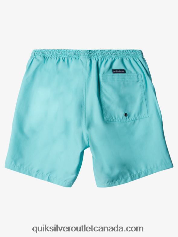 CA Quiksilver Men Everyday 17 Volleys angel blue heather TX4R2630