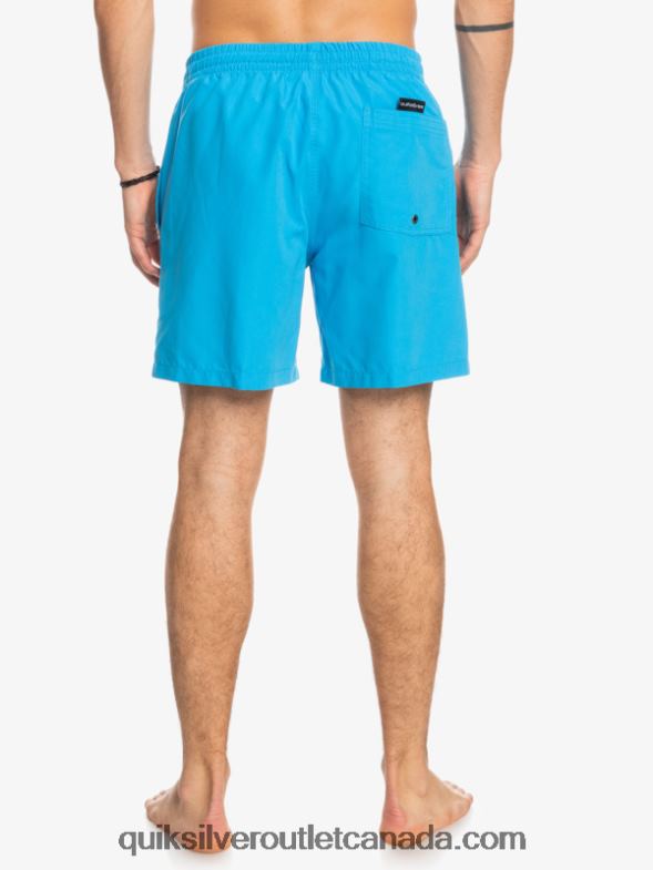 CA Quiksilver Men Everyday 17 Volleys blithe TX4R2622