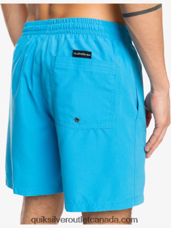 CA Quiksilver Men Everyday 17 Volleys blithe TX4R2622