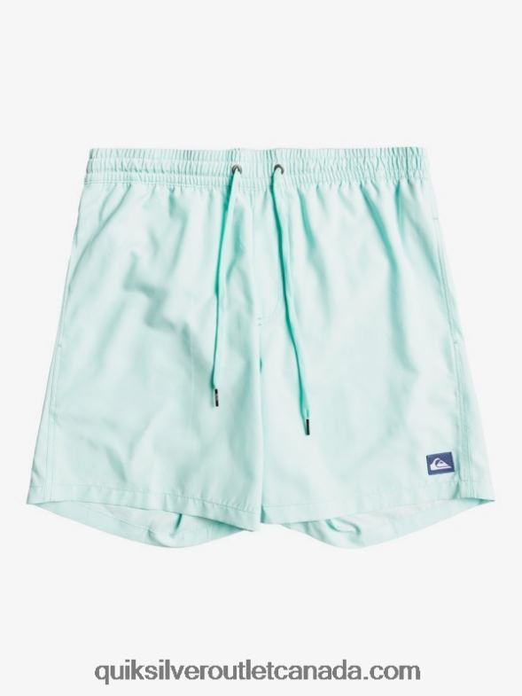 CA Quiksilver Men Everyday 17 Volleys blue light TX4R21529