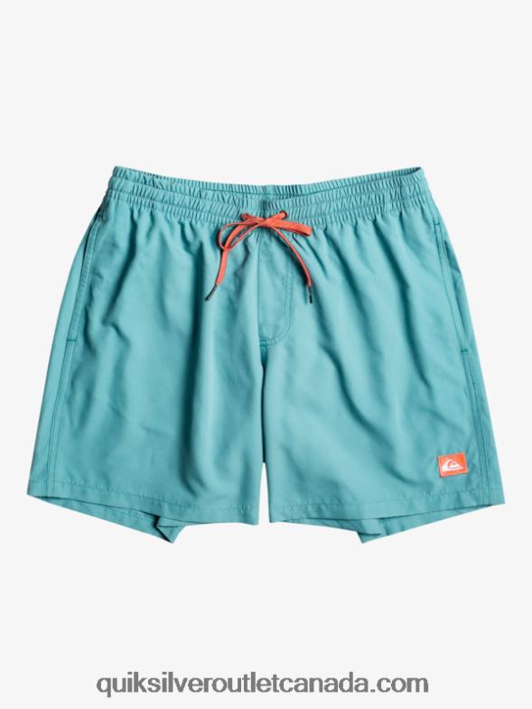 CA Quiksilver Men Everyday 17 Volleys brittany blue TX4R2627