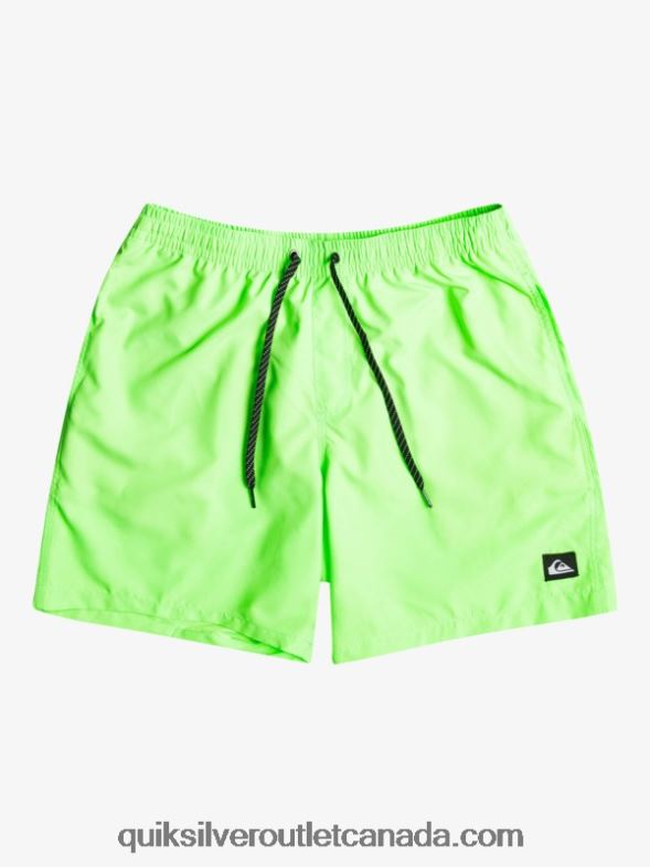 CA Quiksilver Men Everyday 17 Volleys green gecko TX4R2621