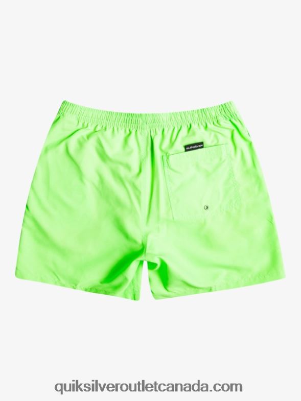 CA Quiksilver Men Everyday 17 Volleys green gecko TX4R2621