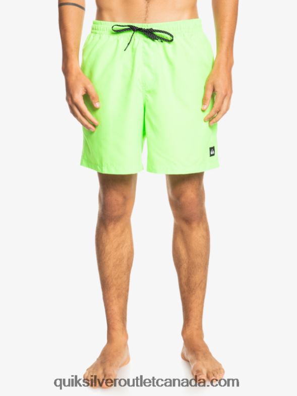 CA Quiksilver Men Everyday 17 Volleys green gecko TX4R2621