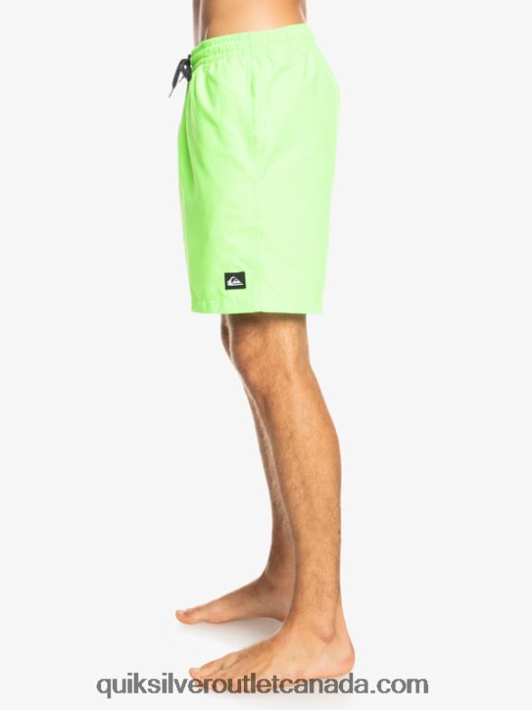 CA Quiksilver Men Everyday 17 Volleys green gecko TX4R2621