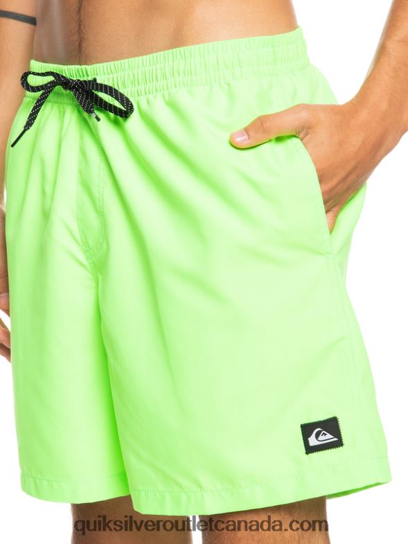 CA Quiksilver Men Everyday 17 Volleys green gecko TX4R2621