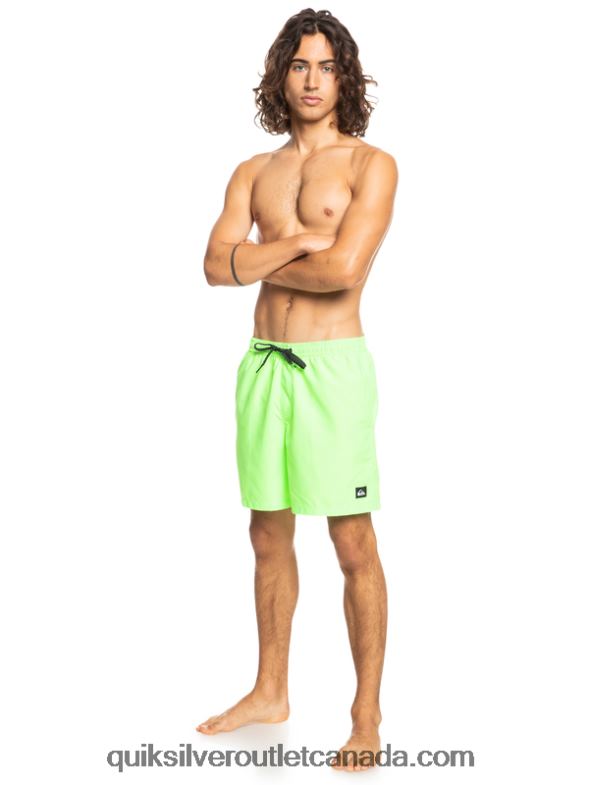 CA Quiksilver Men Everyday 17 Volleys green gecko TX4R2621