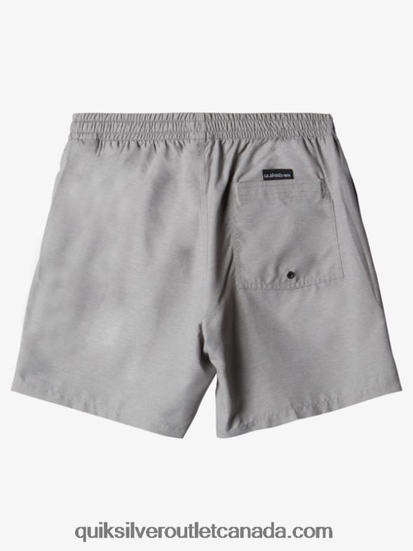 CA Quiksilver Men Everyday 17 Volleys sleet heather TX4R2629