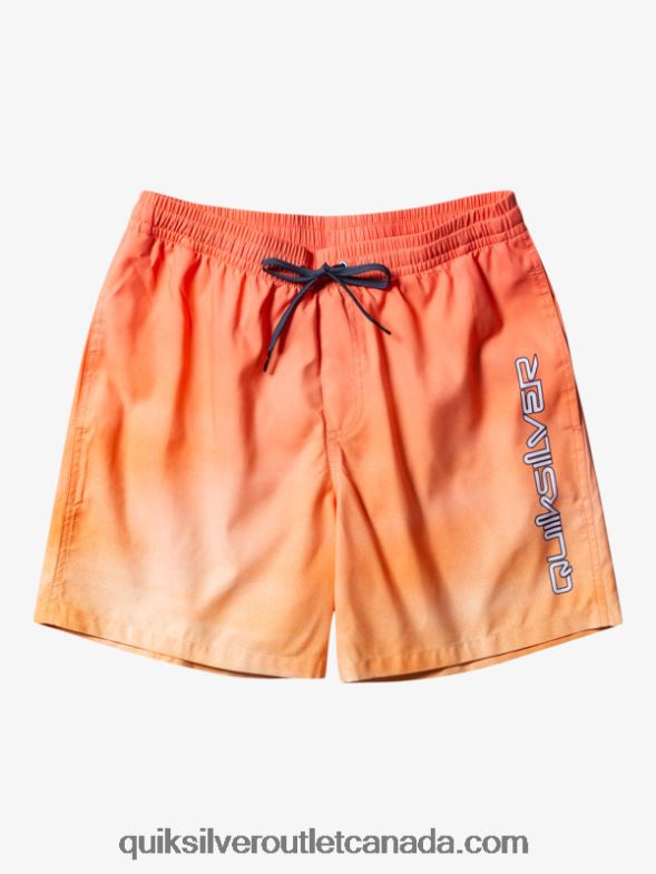 CA Quiksilver Men Everyday Breeze 17 Volleys copper tan TX4R2721