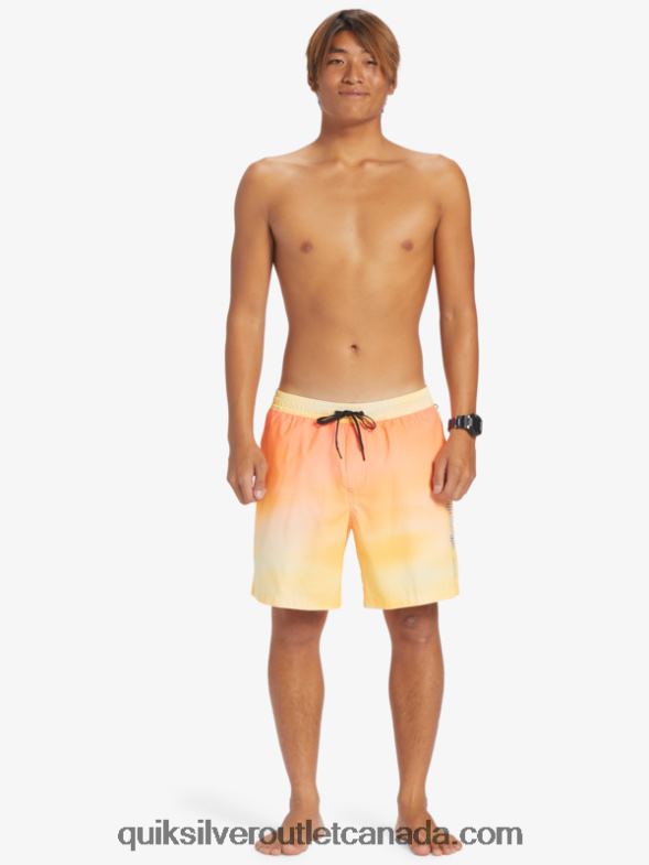 CA Quiksilver Men Everyday Breeze 17 Volleys copper tan TX4R2721