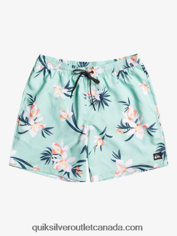 CA Quiksilver Men Everyday Mix 17 Volleys beach glass TX4R21211
