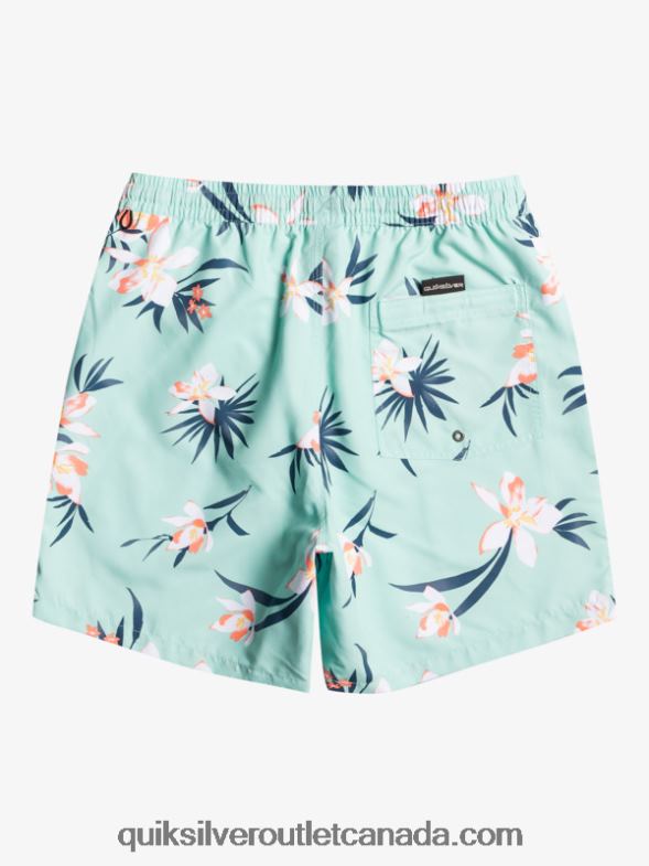 CA Quiksilver Men Everyday Mix 17 Volleys beach glass TX4R21211