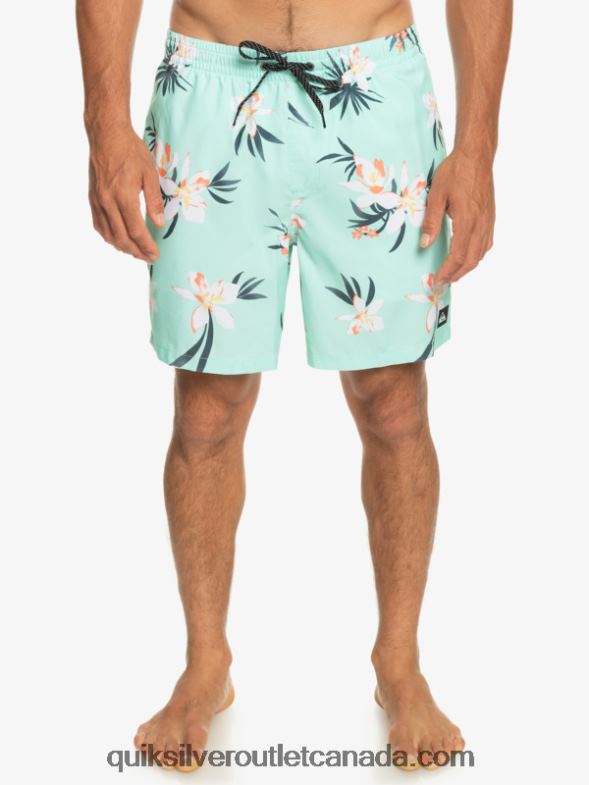 CA Quiksilver Men Everyday Mix 17 Volleys beach glass TX4R21211