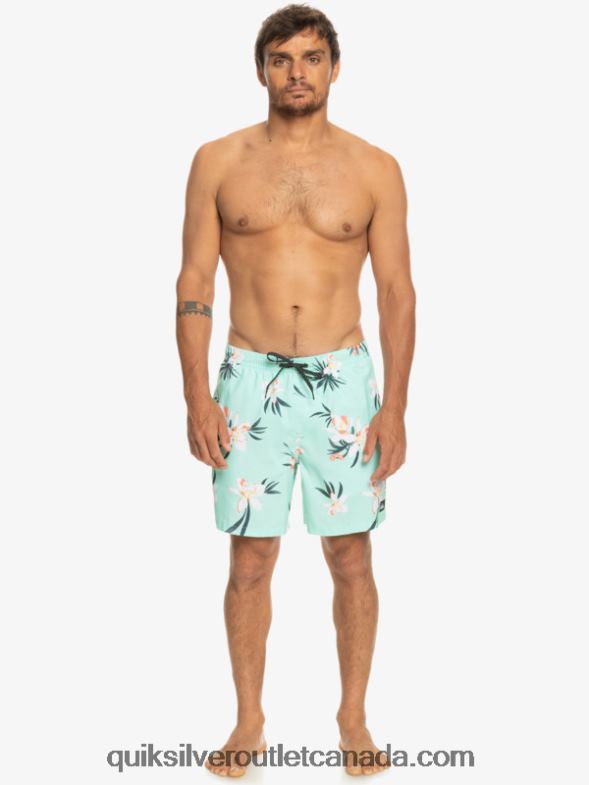 CA Quiksilver Men Everyday Mix 17 Volleys beach glass TX4R21211