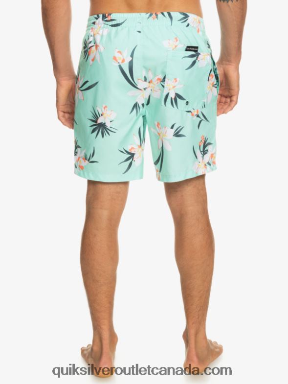 CA Quiksilver Men Everyday Mix 17 Volleys beach glass TX4R21211
