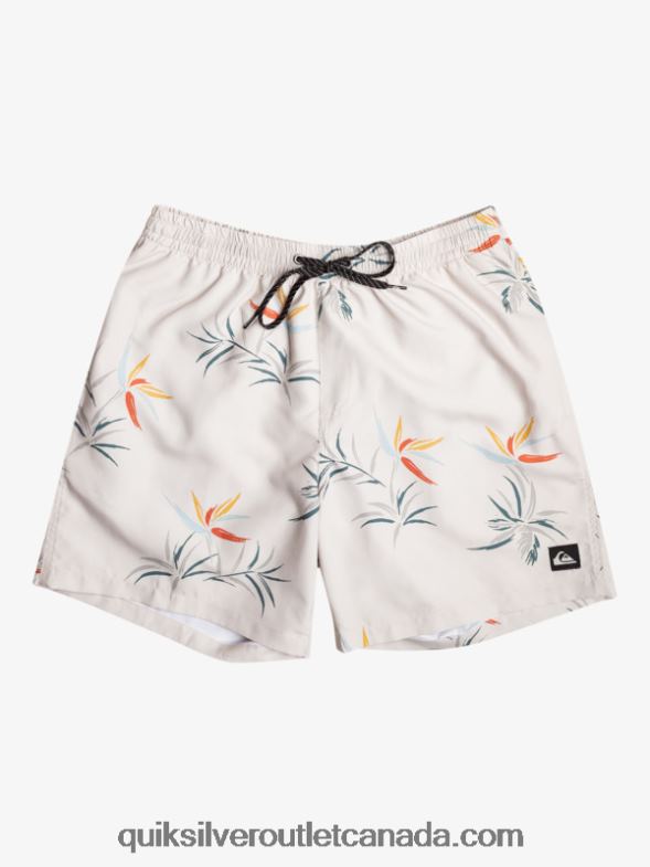 CA Quiksilver Men Everyday Mix 17 Volleys birch TX4R2676