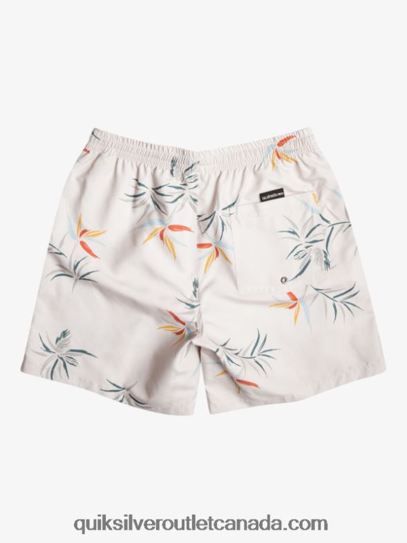 CA Quiksilver Men Everyday Mix 17 Volleys birch TX4R2676