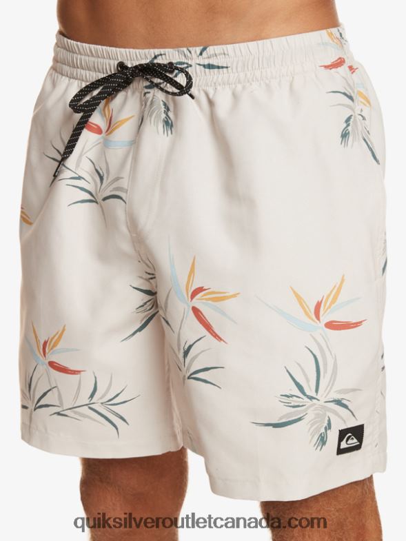 CA Quiksilver Men Everyday Mix 17 Volleys birch TX4R2676