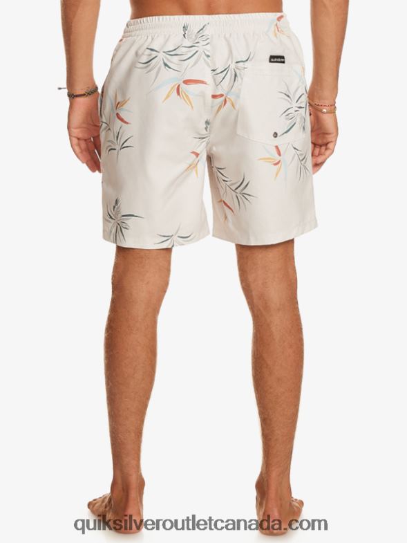 CA Quiksilver Men Everyday Mix 17 Volleys birch TX4R2676