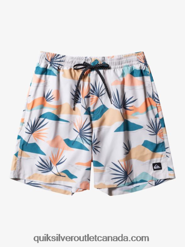 CA Quiksilver Men Everyday Mix 17 Volleys birch TX4R2678