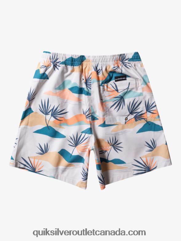 CA Quiksilver Men Everyday Mix 17 Volleys birch TX4R2678