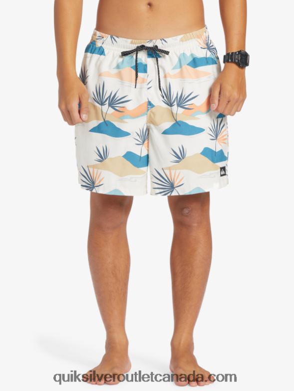 CA Quiksilver Men Everyday Mix 17 Volleys birch TX4R2678
