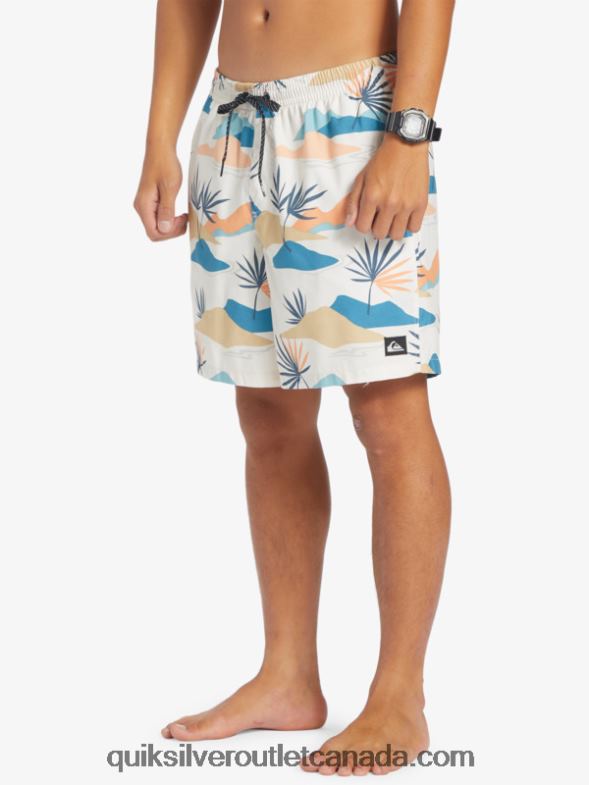 CA Quiksilver Men Everyday Mix 17 Volleys birch TX4R2678