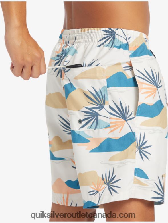 CA Quiksilver Men Everyday Mix 17 Volleys birch TX4R2678