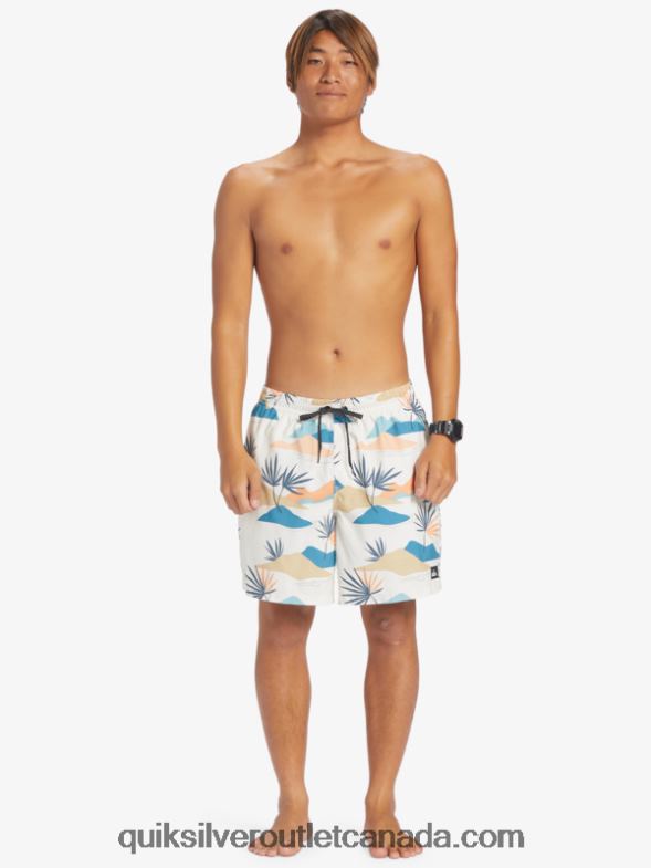 CA Quiksilver Men Everyday Mix 17 Volleys birch TX4R2678