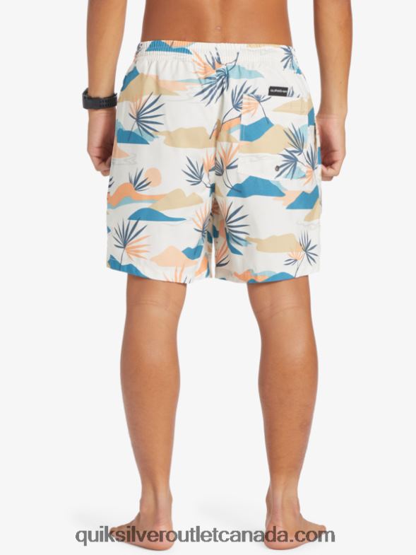 CA Quiksilver Men Everyday Mix 17 Volleys birch TX4R2678