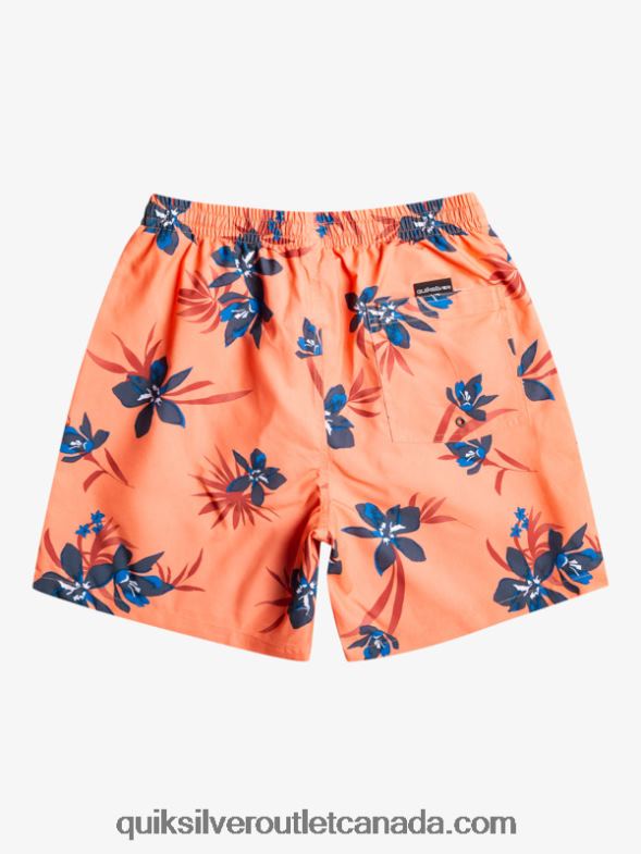 CA Quiksilver Men Everyday Mix 17 Volleys fresh salmon TX4R21209
