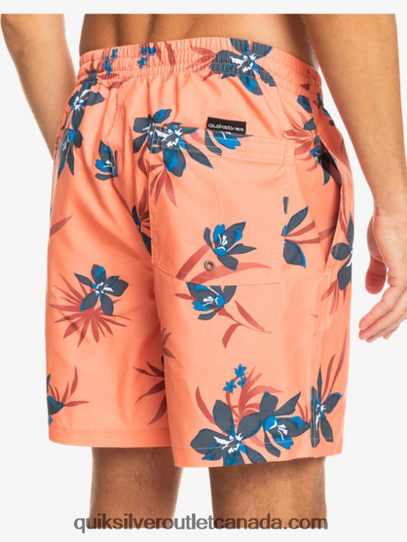 CA Quiksilver Men Everyday Mix 17 Volleys fresh salmon TX4R21209