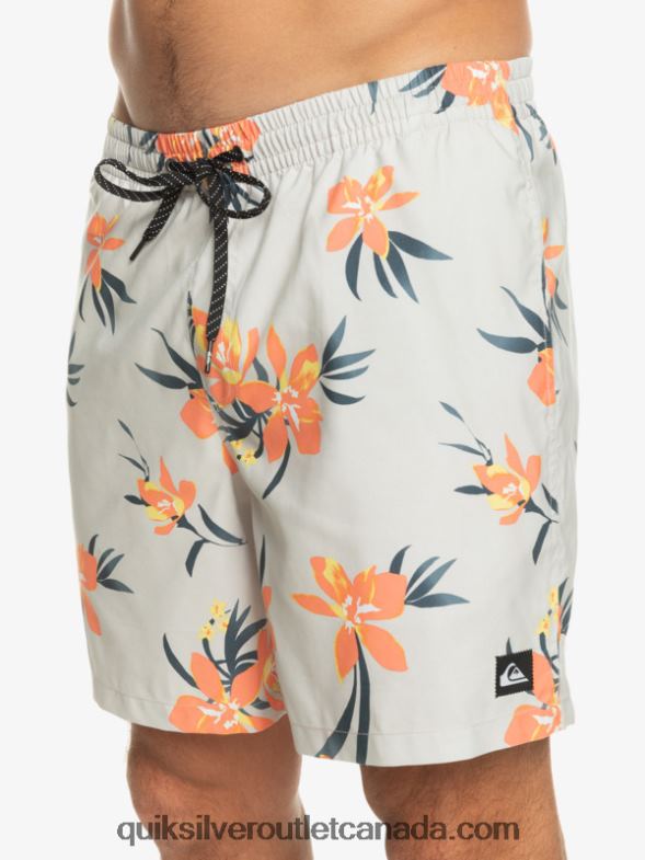 CA Quiksilver Men Everyday Mix 17 Volleys grey violet TX4R21210