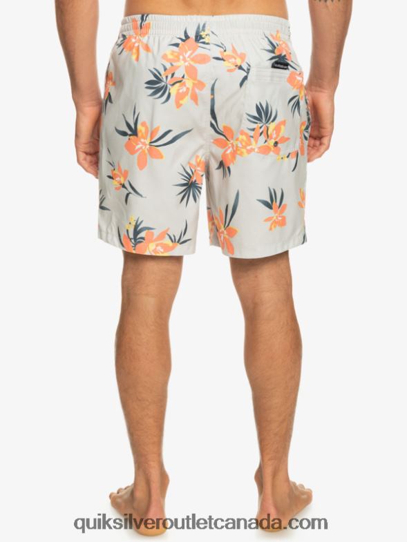CA Quiksilver Men Everyday Mix 17 Volleys grey violet TX4R21210