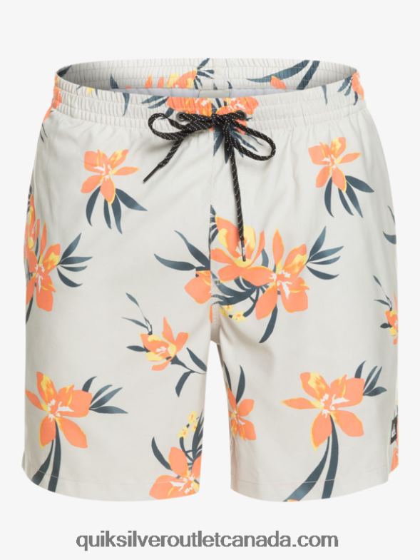 CA Quiksilver Men Everyday Mix 17 Volleys grey violet TX4R21210