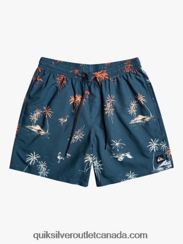 CA Quiksilver Men Everyday Mix 17 Volleys majolica blue TX4R21465