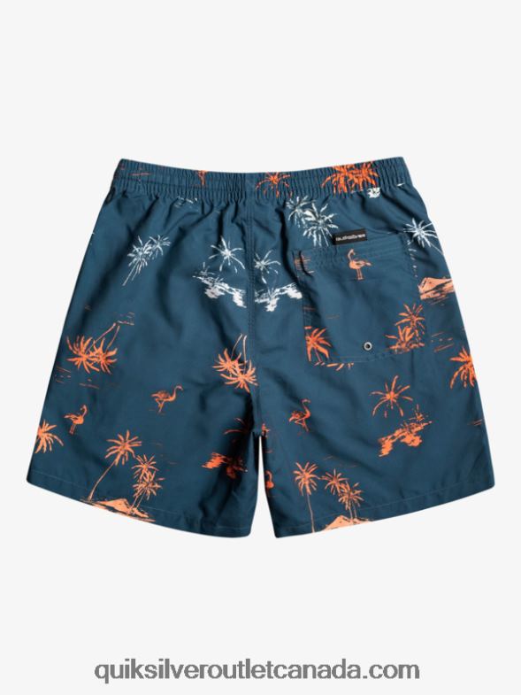 CA Quiksilver Men Everyday Mix 17 Volleys majolica blue TX4R21465