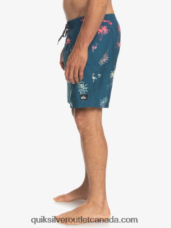 CA Quiksilver Men Everyday Mix 17 Volleys majolica blue TX4R21465