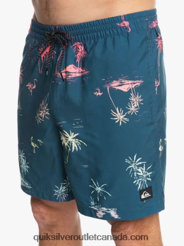 CA Quiksilver Men Everyday Mix 17 Volleys majolica blue TX4R21465
