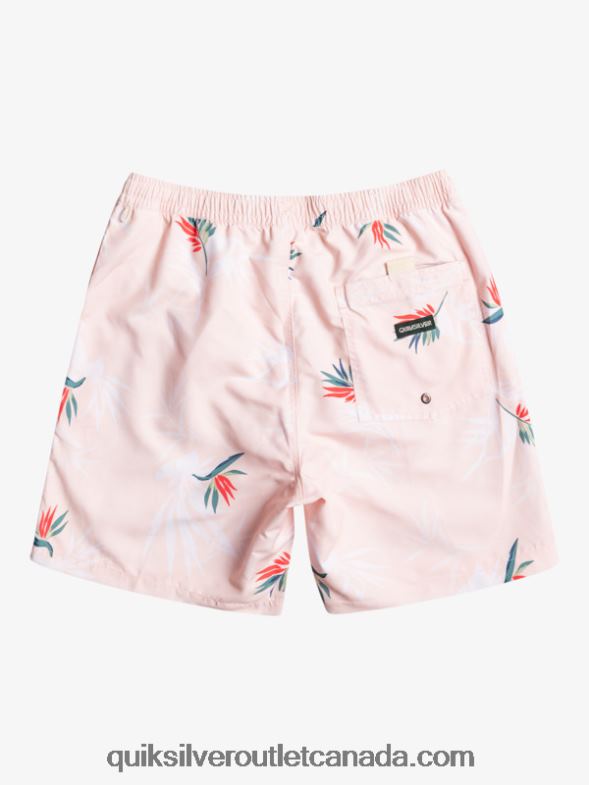 CA Quiksilver Men Everyday Mix 17 Volleys veiled rose TX4R21467