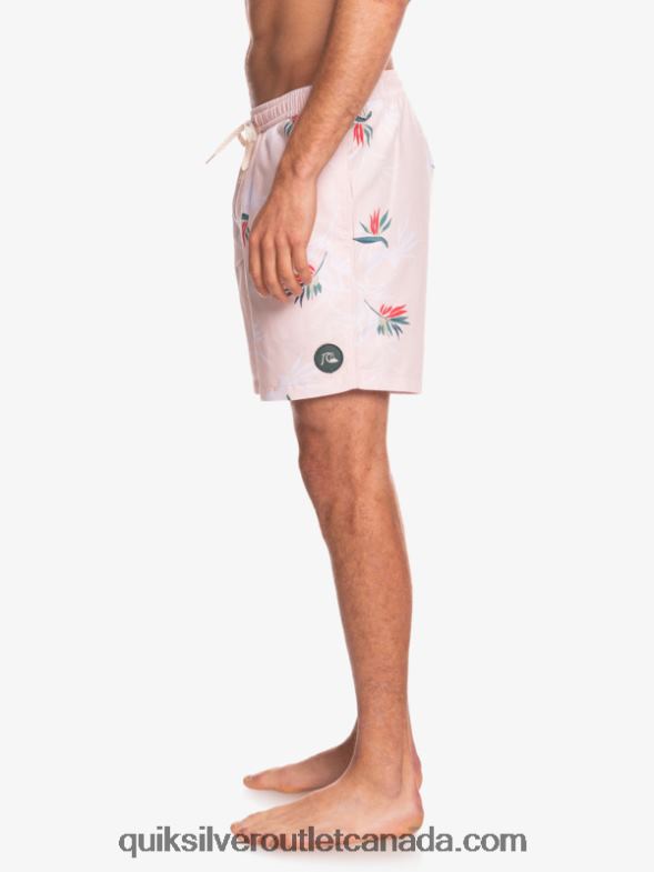 CA Quiksilver Men Everyday Mix 17 Volleys veiled rose TX4R21467