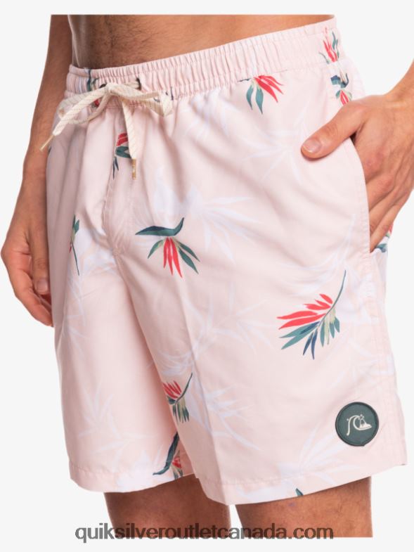 CA Quiksilver Men Everyday Mix 17 Volleys veiled rose TX4R21467