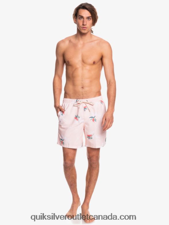 CA Quiksilver Men Everyday Mix 17 Volleys veiled rose TX4R21467