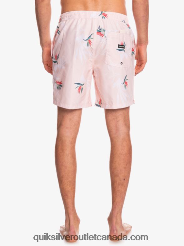 CA Quiksilver Men Everyday Mix 17 Volleys veiled rose TX4R21467