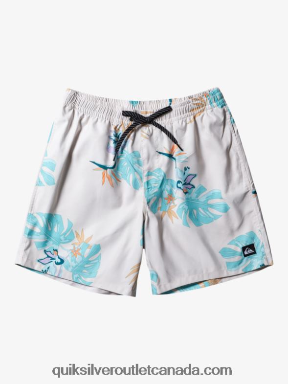 CA Quiksilver Men Everyday Mix 17 Volleys white TX4R2679